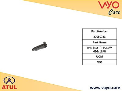 PAN SELF TP SCREW 6SGX16AB - 27050733 - GEM CARGO