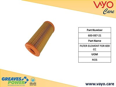 FILTER ELEMENT FOR 600 CC - 600-087-21 - GREAVES