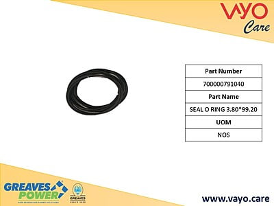 SEAL O RING 3.80*99.20 - 700000791040 - GREAVES