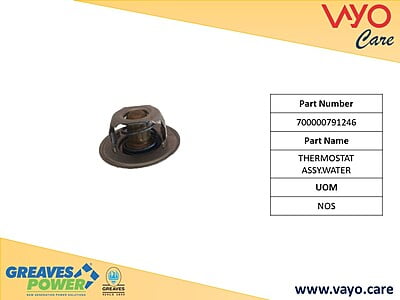 THERMOSTAT ASSY.WATER - 700000791246 - GREAVES